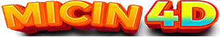 MICIN4D